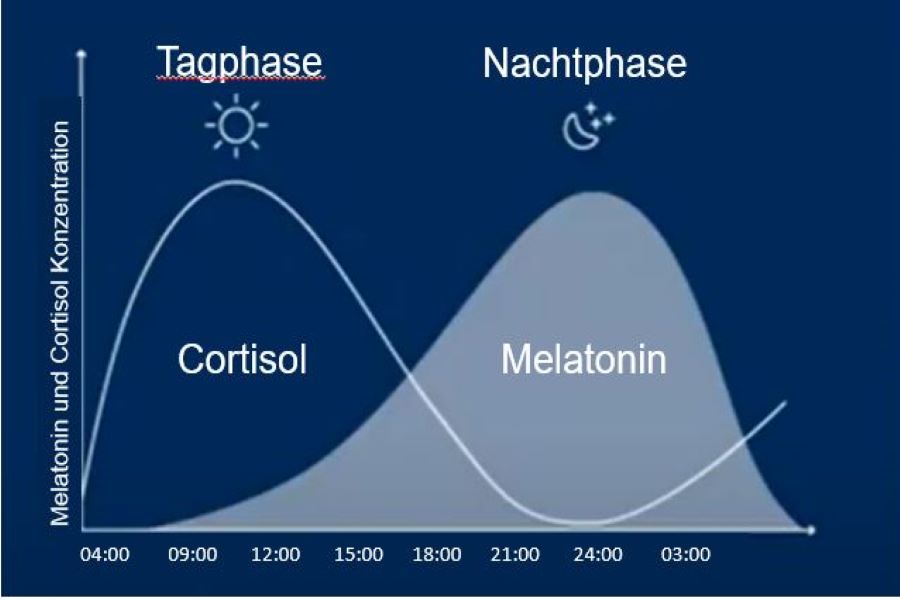 Cortisol & Melatonin2